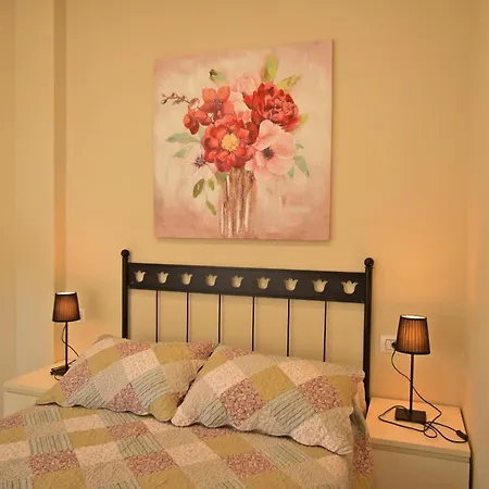 Vut Sofiamar سانكسينكسو